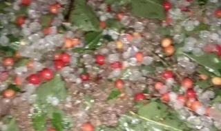 贵州多地突降大雨冰雹 贵州多地突降大雨冰雹